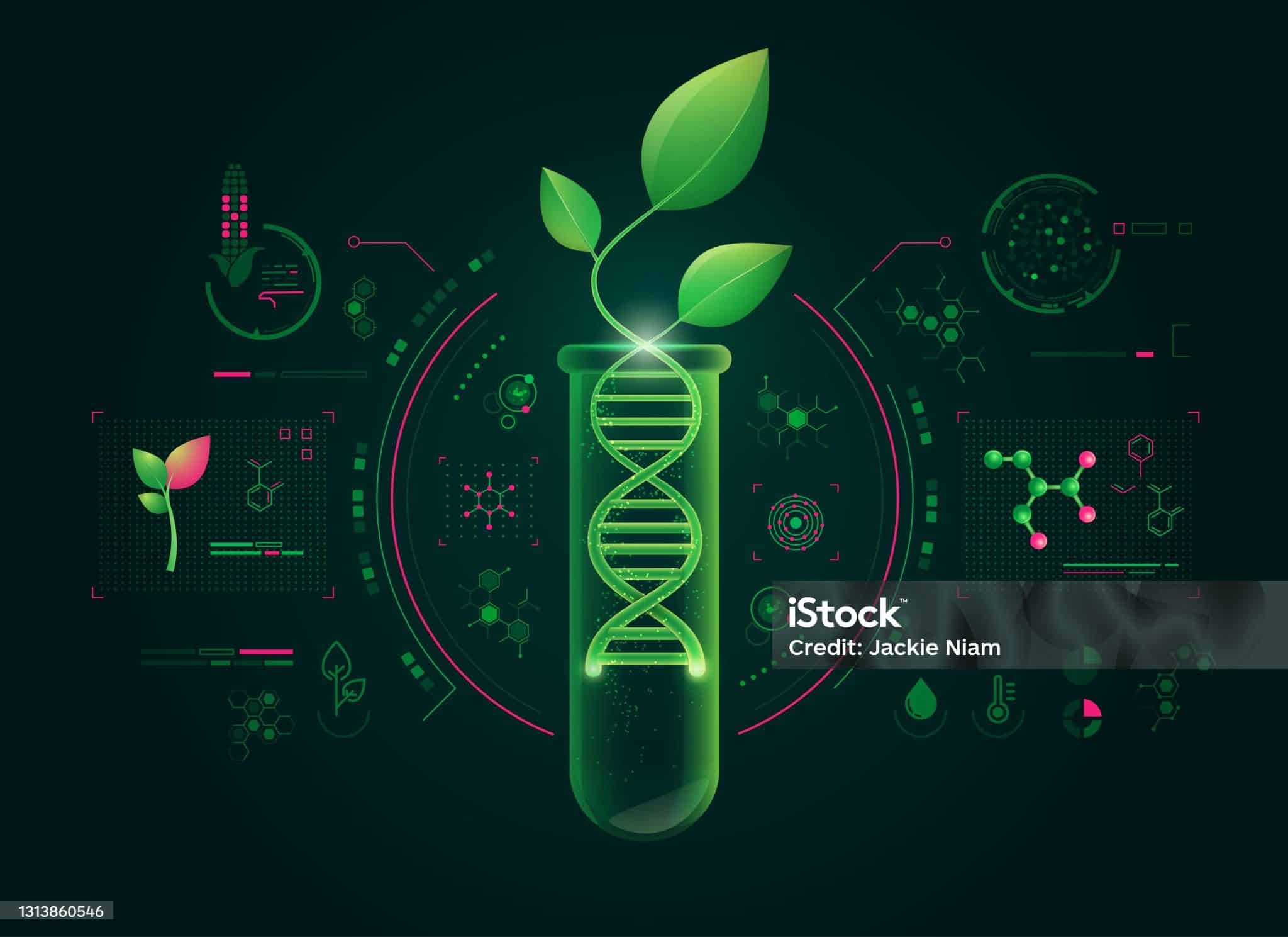 Plant partner heeft uitgebreide expertise opgebouwd in een breed scala aan productieprocessen binnen de farmaceutische en biotechnologische industrie. De apparatuur die door de fabriekspartner voor biotechnologische doeleinden wordt gebruikt, voldoet aan strikte normen van uitmuntendheid en nauwkeurigheid. Deze aandacht voor detail is van het grootste belang omdat zelfs de kleinste afwijking in het productieproces een grote invloed kan hebben op de kwaliteit, effectiviteit en duurzaamheid van de uiteindelijke koopwaar. Verschillende producten profiteren van deze nauwgezette aanpak, waaronder bacteriën, bloedderivaten, celculturen, heparine, immunoglobuline, insuline, micro-ingekapselde stoffen en vaccins. De nauwgezette aandacht voor detail en de niet-aflatende toewijding aan consistentie gedurende het hele productieproces garanderen dat de producten niet alleen voldoen aan de benchmarks van de industrie, maar deze zelfs overtreffen, wat resulteert in uitstekende resultaten. Bovendien zorgt de precisie bij de productie ervoor dat de producten veilig zijn voor consumptie en voldoen aan de wettelijke vereisten, waardoor consumenten gemoedsrust krijgen over de kwaliteit en werkzaamheid van de artikelen die ze gebruiken. Door een hoge mate van consistentie te handhaven, kan de fabriekspartner ook het risico op fouten of defecten in de eindproducten minimaliseren, wat uiteindelijk op de lange termijn tijd en middelen bespaart. Deze toewijding aan uitmuntendheid en het naleven van strenge normen onderscheidt Hecht-technology in de industrie, waardoor ze een vertrouwde en betrouwbare partner zijn voor farmaceutische en biotechnologische bedrijven die eersteklas producten op de markt willen brengen.